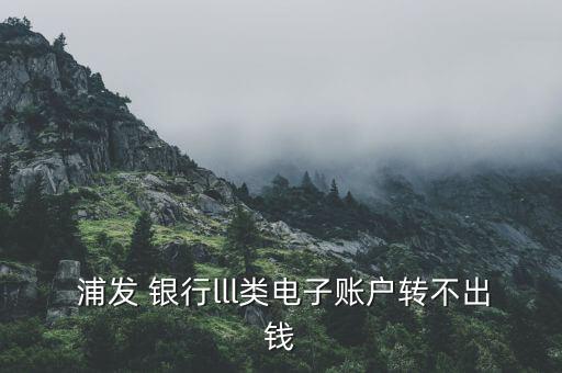  浦發(fā) 銀行l(wèi)ll類電子賬戶轉(zhuǎn)不出錢