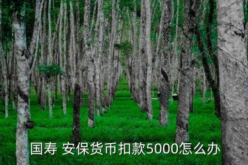  國(guó)壽 安保貨幣扣款5000怎么辦