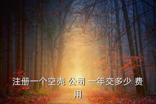 注冊(cè)一個(gè)空殼 公司 一年交多少 費(fèi)用