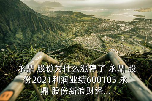  永鼎 股份為什么漲停了 永鼎 股份2021利潤業(yè)績600105 永鼎 股份新浪財經(jīng)...