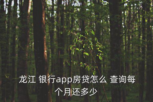  龍江 銀行app房貸怎么 查詢每個月還多少