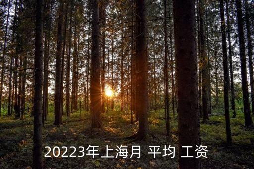 上海市歷年平均工資,1993年至2020年上海平均工資