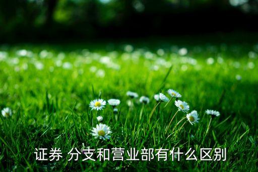  證券 分支和營(yíng)業(yè)部有什么區(qū)別