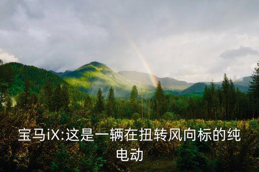 寶馬iX:這是一輛在扭轉風向標的純電動