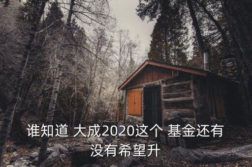 誰知道 大成2020這個 基金還有沒有希望升