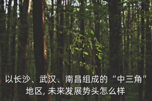 以長沙、武漢、南昌組成的“中三角”地區(qū), 未來發(fā)展勢頭怎么樣