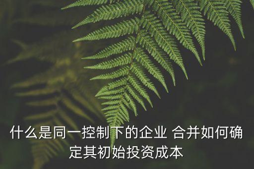 子公司注銷合并利潤(rùn)表,處置子公司的合并利潤(rùn)表編制