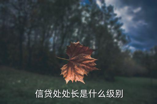  信貸處處長(zhǎng)是什么級(jí)別