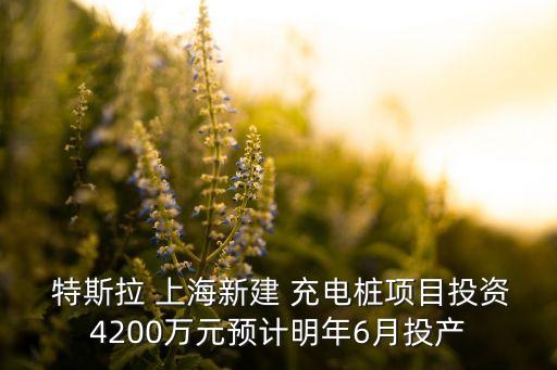  特斯拉 上海新建 充電樁項(xiàng)目投資4200萬元預(yù)計(jì)明年6月投產(chǎn)