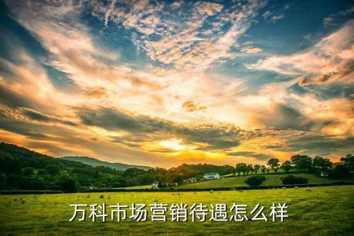  萬科市場(chǎng)營(yíng)銷待遇怎么樣