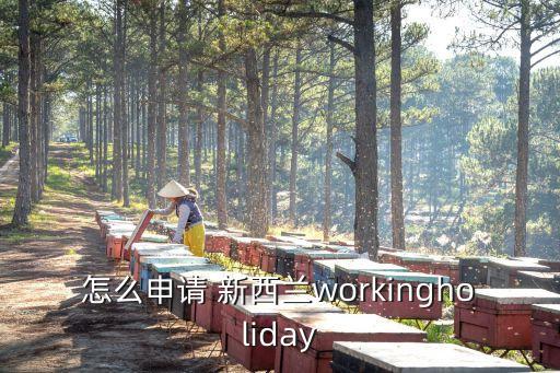 怎么申請(qǐng) 新西蘭workingholiday