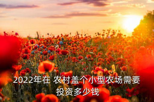 2022年在 農(nóng)村蓋個(gè)小型農(nóng)場(chǎng)需要 投資多少錢