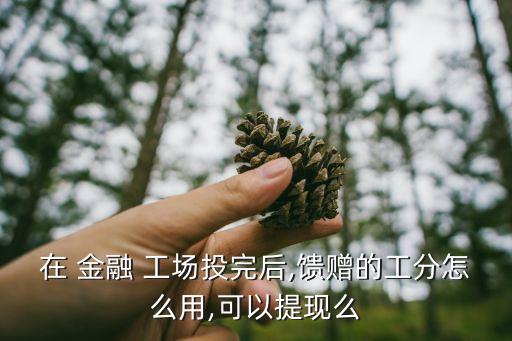 在 金融 工場投完后,饋贈(zèng)的工分怎么用,可以提現(xiàn)么