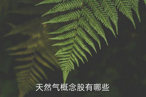 天然氣概念股有哪些