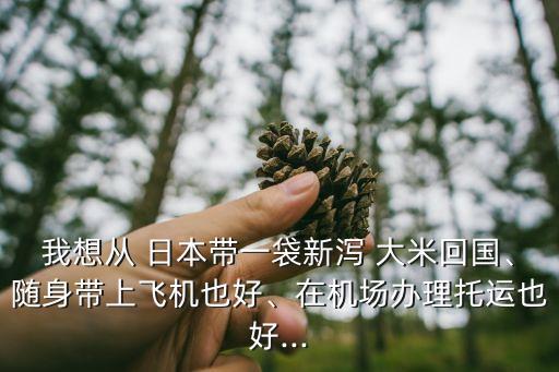 我想從 日本帶一袋新瀉 大米回國、隨身帶上飛機也好、在機場辦理托運也好...