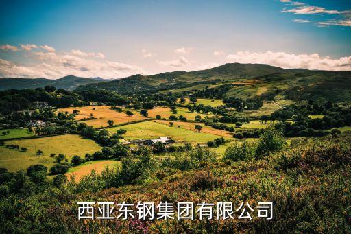 馬來西亞東鋼集團(tuán)有限公司