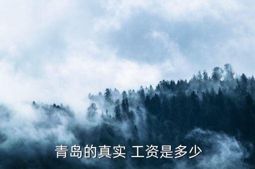 青島新興東方進(jìn)出口有限責(zé)任公司工資,中國新興廈門進(jìn)出口有限責(zé)任公司招聘