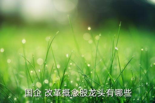 傳媒股票十國企改革,文化傳媒 國企改革 人工智能的股票