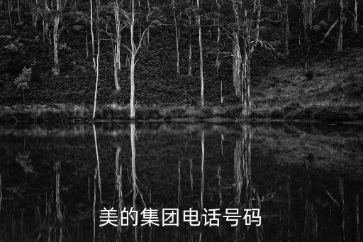 廣東美的電器股份有限公司簡(jiǎn)介,廣東長(zhǎng)青集團(tuán)股份有限公司簡(jiǎn)介