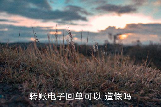 轉(zhuǎn)賬電子回單可以 造假嗎