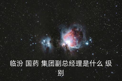 臨汾 國藥 集團副總經理是什么 級別