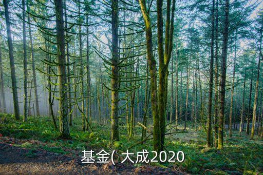 中國(guó)基金大成,大成2020基金分紅