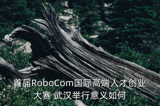 首屆RoboCom國(guó)際高端人才創(chuàng)業(yè)大賽 武漢舉行意義如何