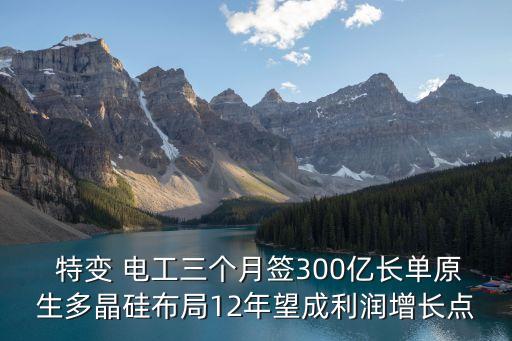  特變 電工三個(gè)月簽300億長(zhǎng)單原生多晶硅布局12年望成利潤增長(zhǎng)點(diǎn)