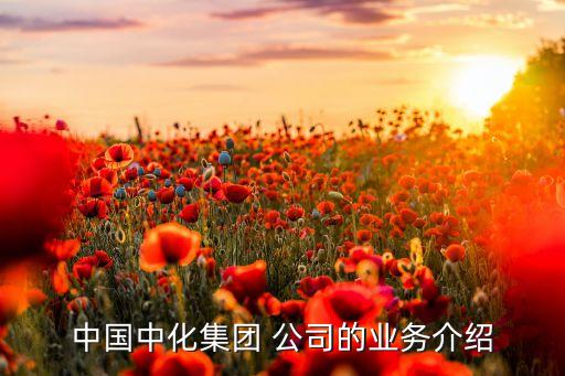 中國中化集團 公司的業(yè)務(wù)介紹