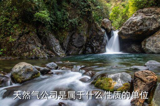 延安天然氣管道有限公司