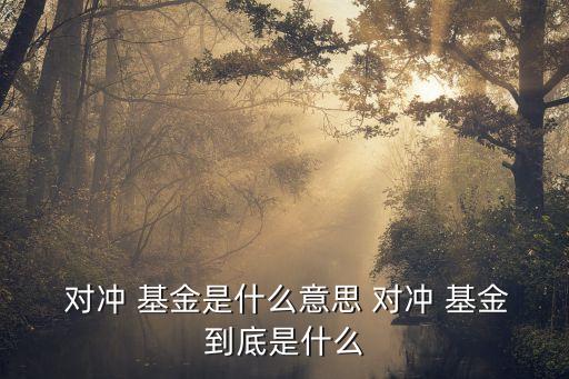  對(duì)沖 基金是什么意思 對(duì)沖 基金到底是什么