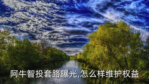 正規(guī)的網(wǎng)上投資公司,成都正規(guī)投資公司有哪些