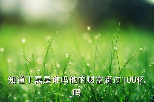 知道丁磊是誰嗎他的財富超過100億嗎