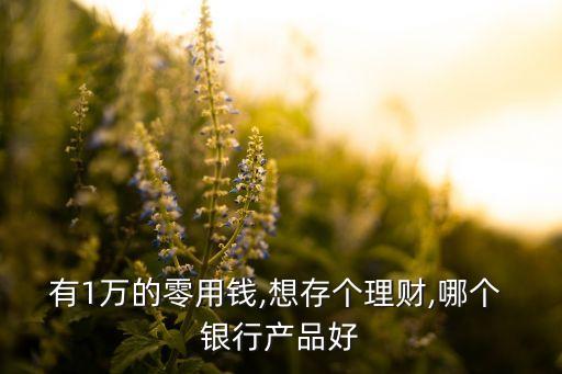 有1萬的零用錢,想存?zhèn)€理財,哪個 銀行產(chǎn)品好