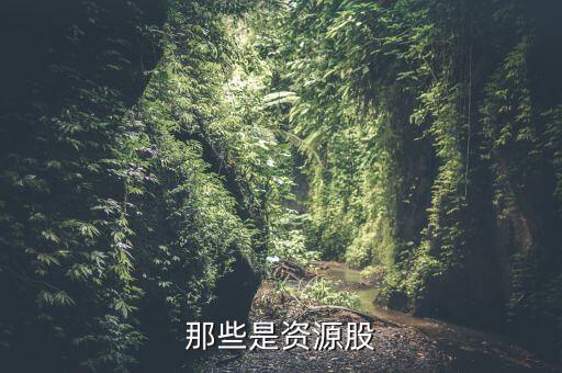 寶泰隆股票,601011寶泰隆股票