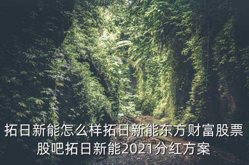 拓日新能怎么樣拓日新能東方財富股票股吧拓日新能2021分紅方案