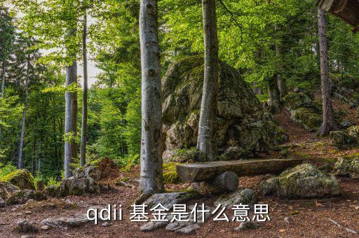 QDII基金理財(cái)有哪些,qdii基金排名前十名