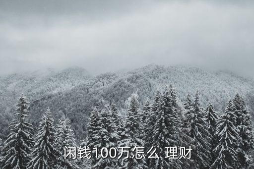  閑錢100萬怎么 理財(cái)