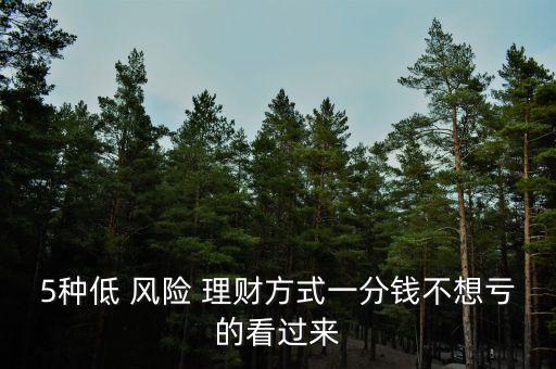 風險投資理財收益,20萬投資理財一年收益有多少