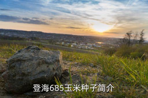 登海685玉米種子簡(jiǎn)介