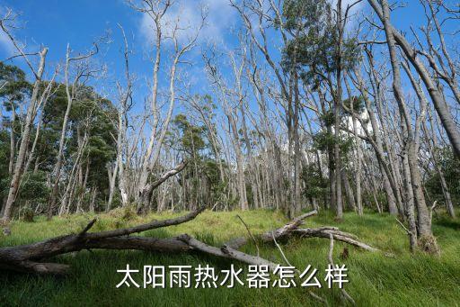 太陽雨集團(tuán)子公司有哪些