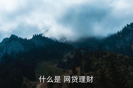 什么是 網(wǎng)貸理財(cái)