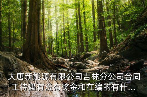  大唐新能源有限公司吉林分公司合同工待遇有沒有獎(jiǎng)金和在編的有什...