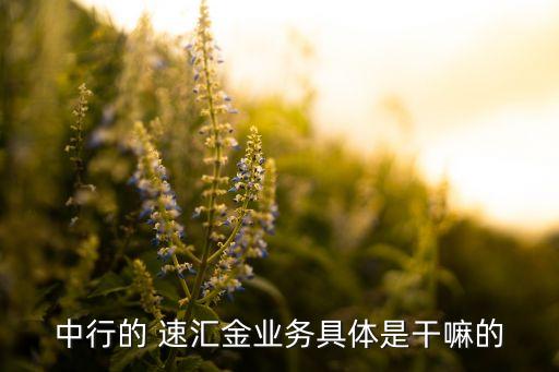 中行的 速匯金業(yè)務具體是干嘛的