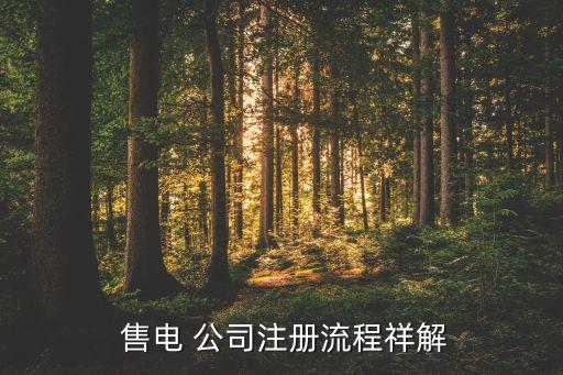  售電 公司注冊(cè)流程祥解