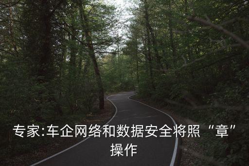 專家:車企網(wǎng)絡(luò)和數(shù)據(jù)安全將照“章”操作