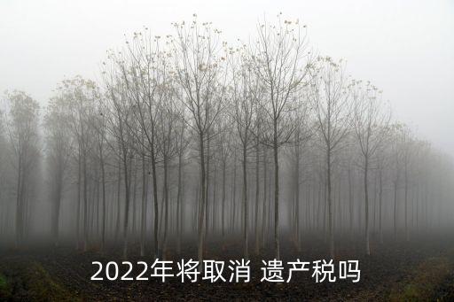 2022年將取消 遺產(chǎn)稅嗎