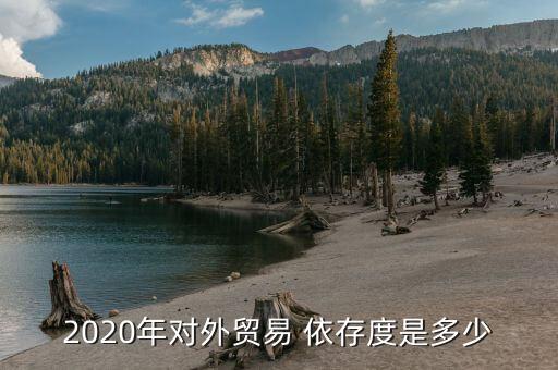 2020年對(duì)外貿(mào)易 依存度是多少