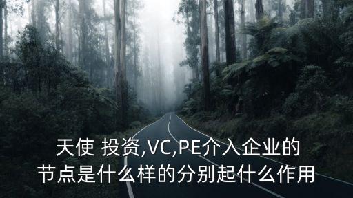  天使 投資,VC,PE介入企業(yè)的節(jié)點(diǎn)是什么樣的分別起什么作用