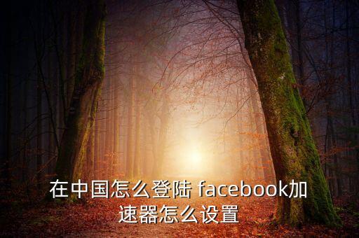 如何在中國(guó)用ipad上facebook